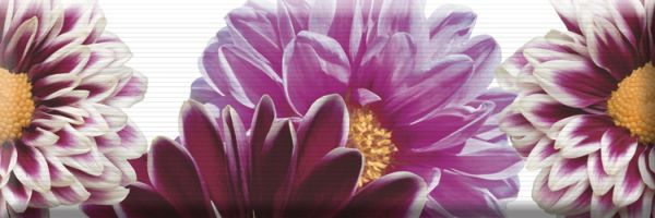 Decor Flowers 02 15x45 Absolut Keramika