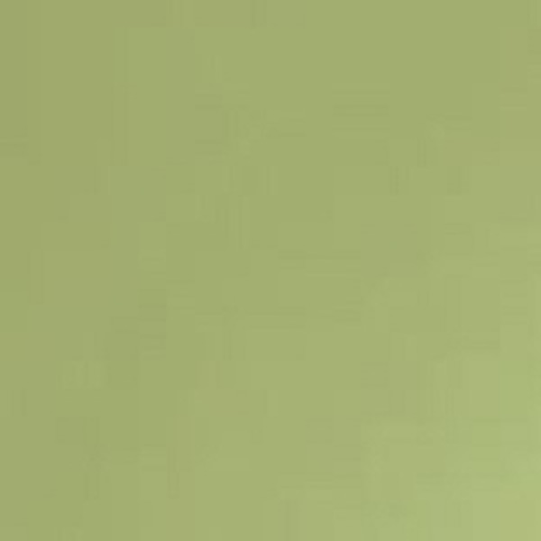 Arch. Pistacchio MJ2G 20*20 MARAZZI Italy