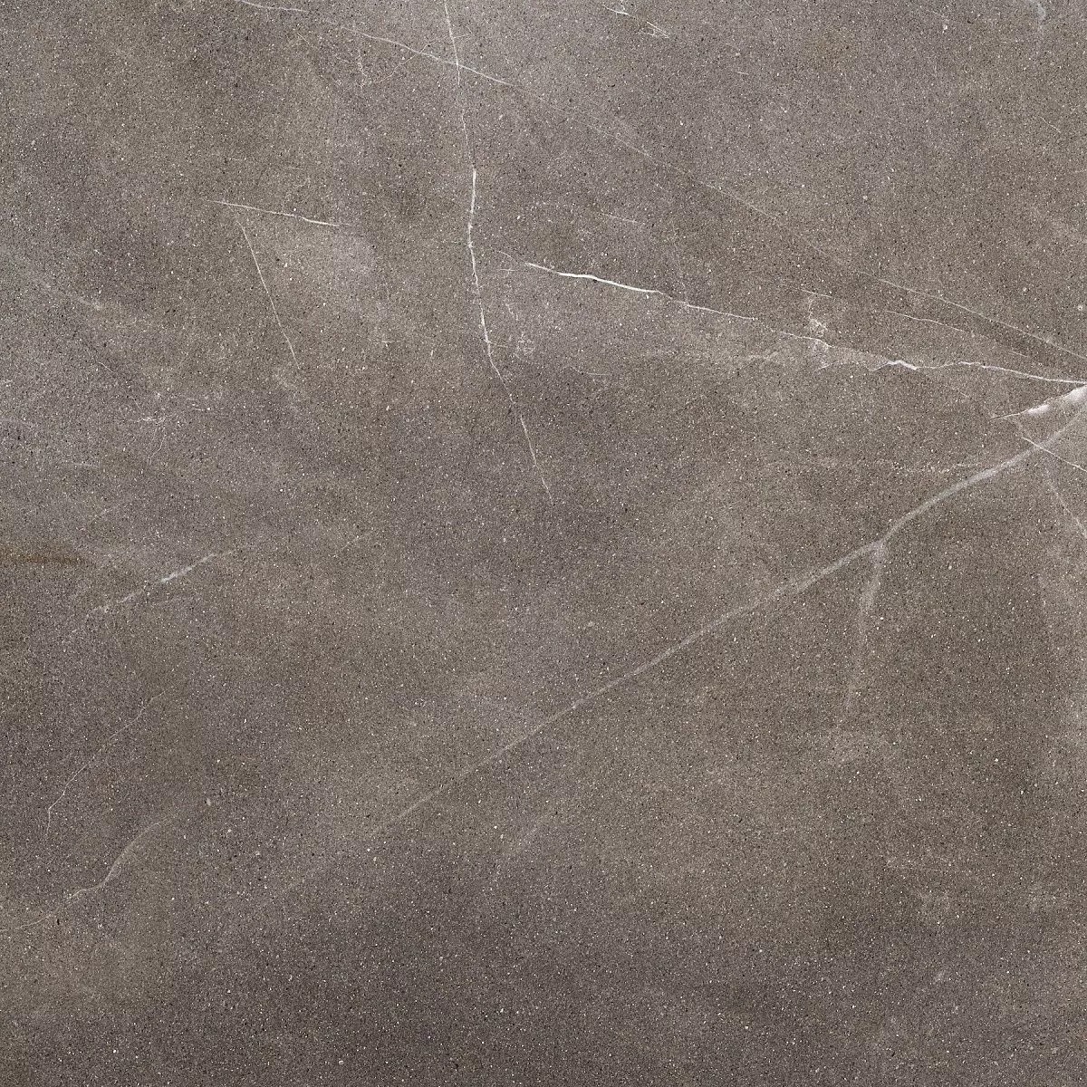 Pulpis Dark Grey 60x60 Prime Ceramics
