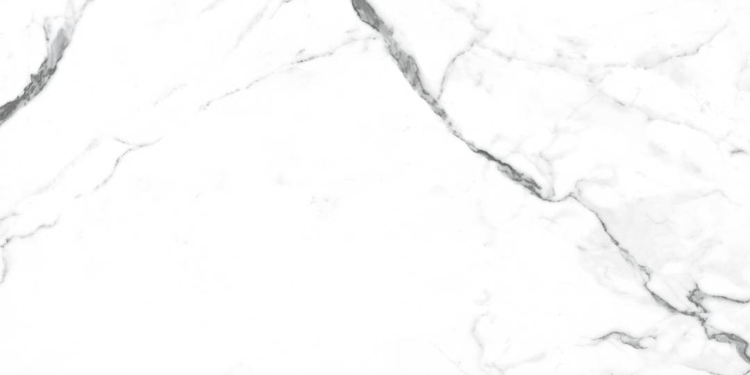 NR235 Dalim White Матовый 60x120 PrimaVera
