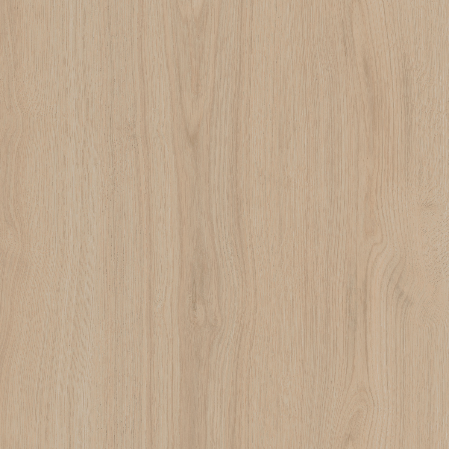 SG643420R Альберони бежевый светлый матовый обрезной 60x60x0,9 Kerama Marazzi
