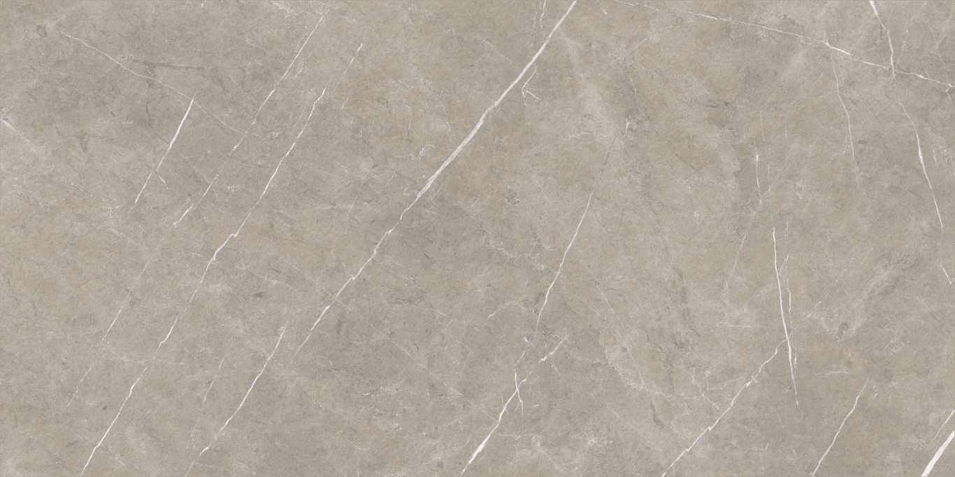 Eternal Taupe Natural 80x160 Baldocer