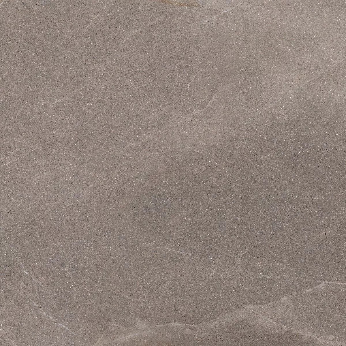 Pulpis Light Grey 60x60 Prime Ceramics