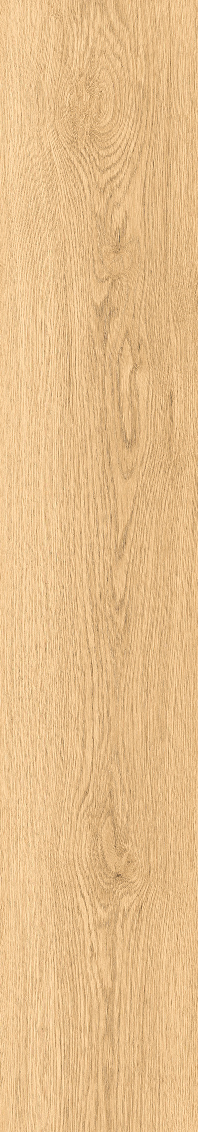 1108 Modena Honey Mate 120x20 Artcer