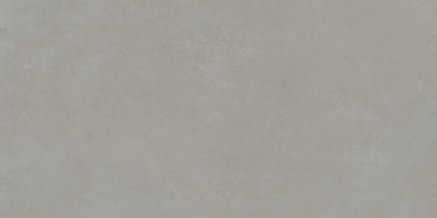 610010002649 Rinascente Grey Rect R9 60x120 Atlas Concorde Russia