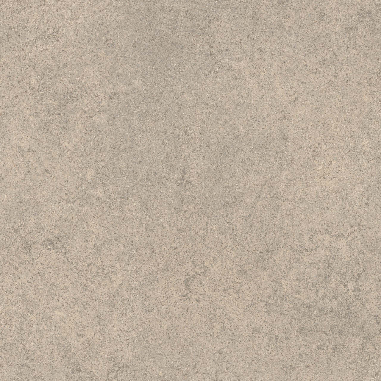 600010002428 Forte dei Marmi Rock Moleanos Cream Matt Rett 120x120 Atlas Concorde Russia