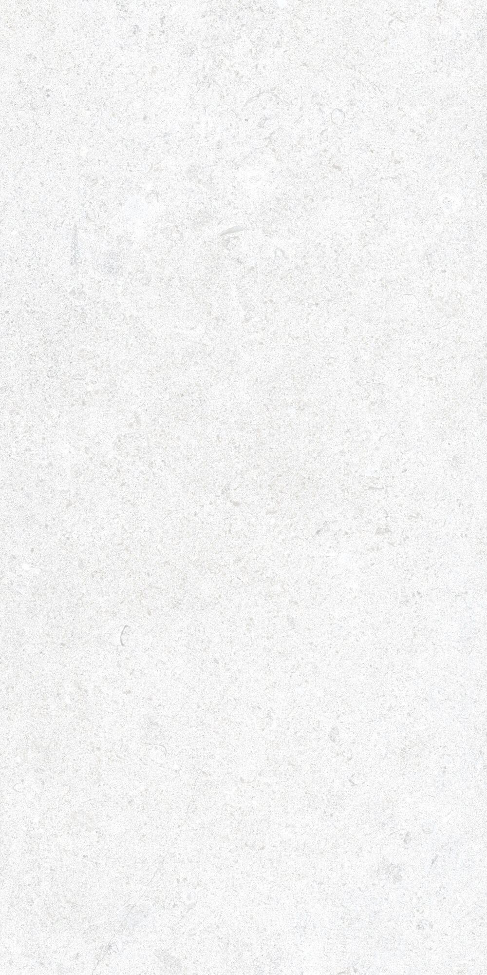 36905 Cluny White 4D/50X100X2/A/R 50x100 Peronda фото 2