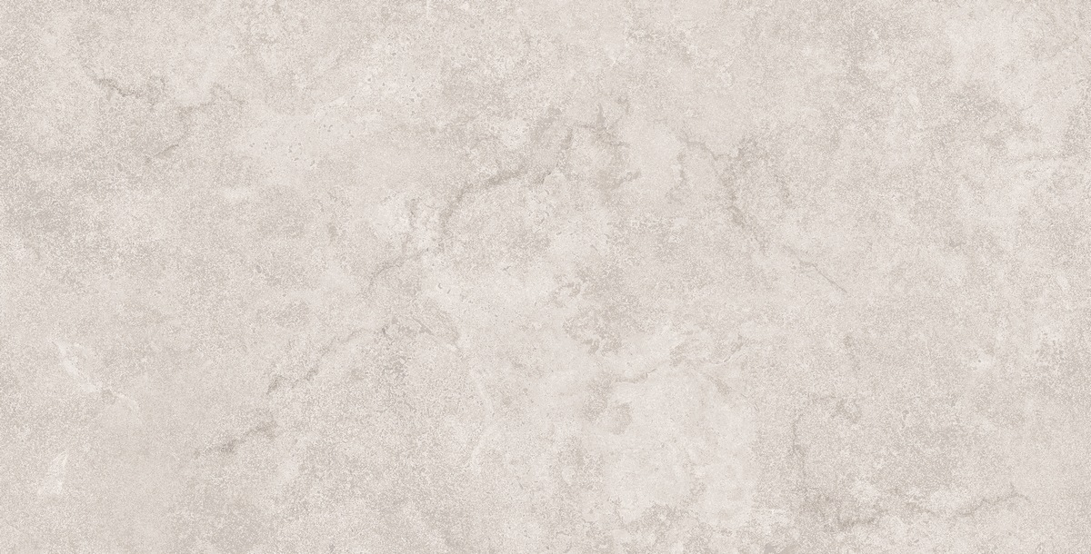 N40070 Stone Duomo Grey Matt Str 60x120 Neodom фото 5