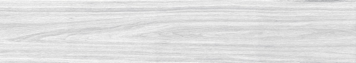 ENWD1024MT20120 Foresta Bianco Matt 120x20x0.9 Ennface