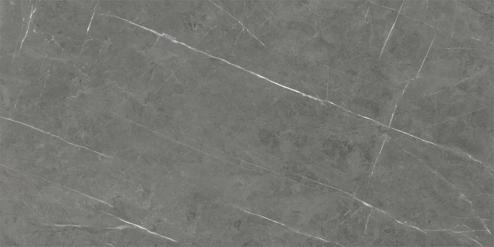 Tessino Grey Pulido 60x120 Benadresa