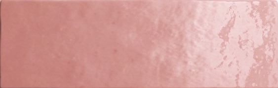 24466 ARTISAN ROSE MALLOW 6,5X20 EQUIPE