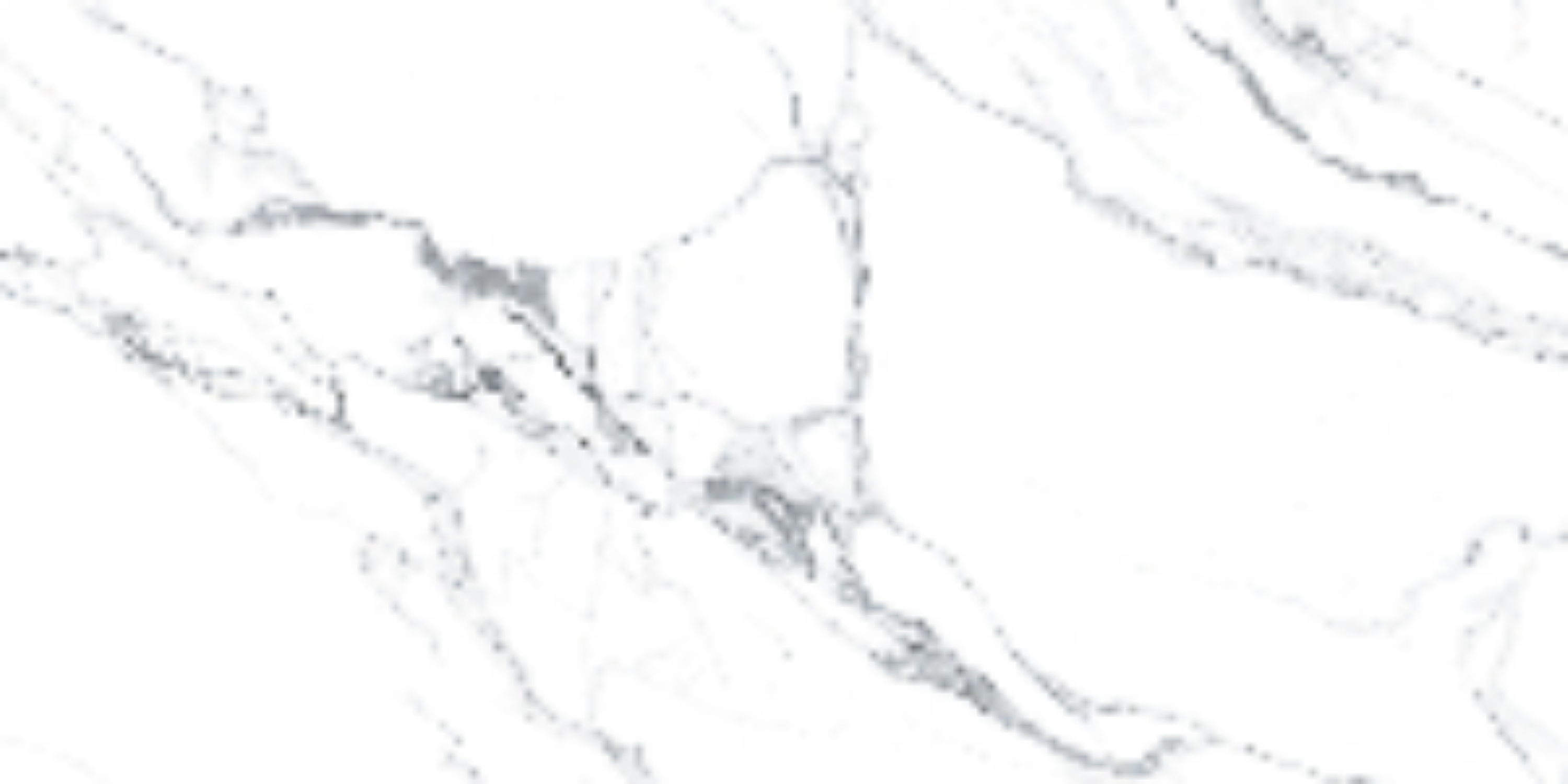 Statuariett White Natural 60x120 Prissmacer
