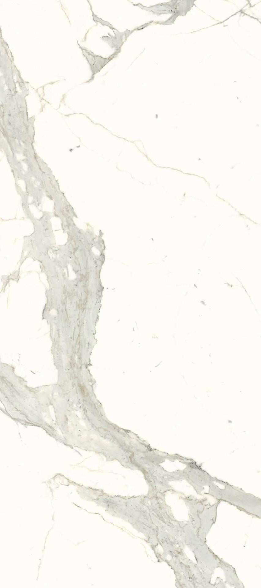 L2712332MF6 White Calacatta Luc 120x270 IRIS FMG