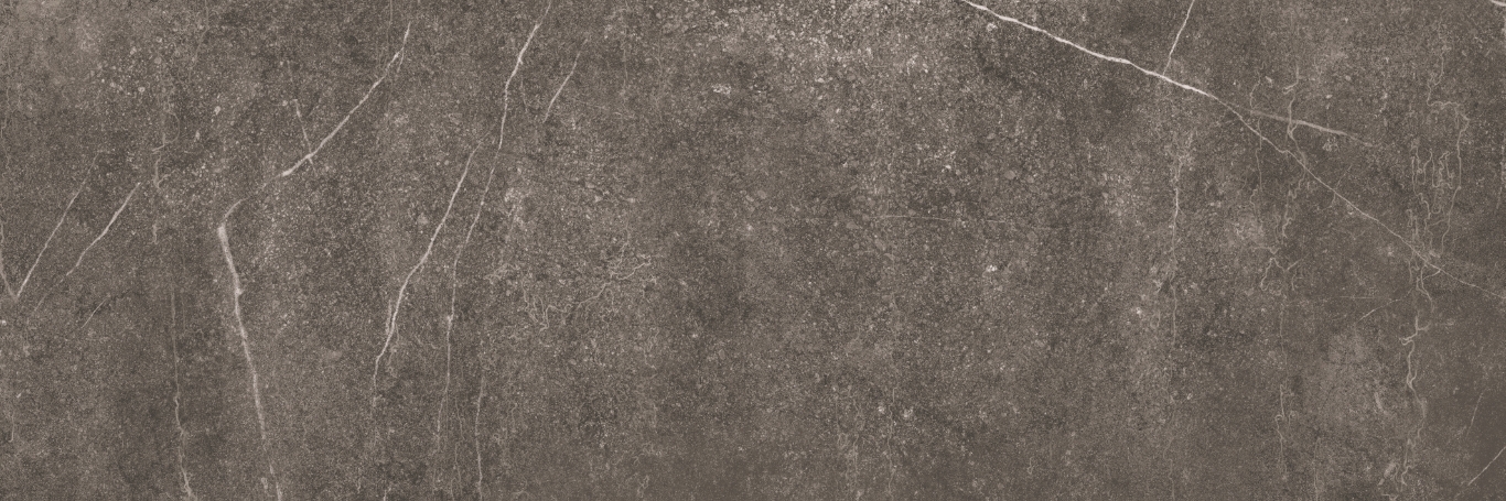 Shetland Dark Rectificado 33.3х100 Baldocer