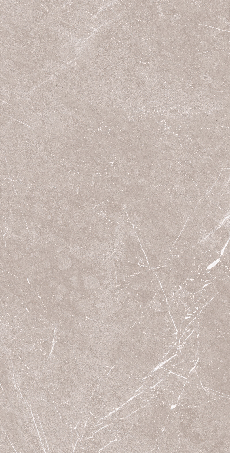 1069 Monte Grigio Carv 120x60 Artcer