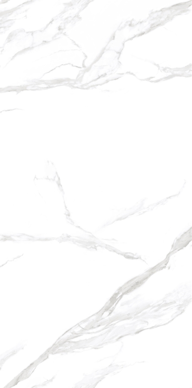 NTT3009M Statuario Mat 120x240 NT Ceramic
