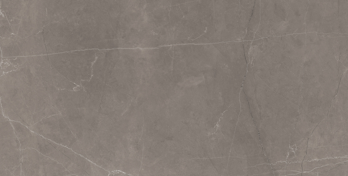 Splash Grey серый 60х120 Laparet