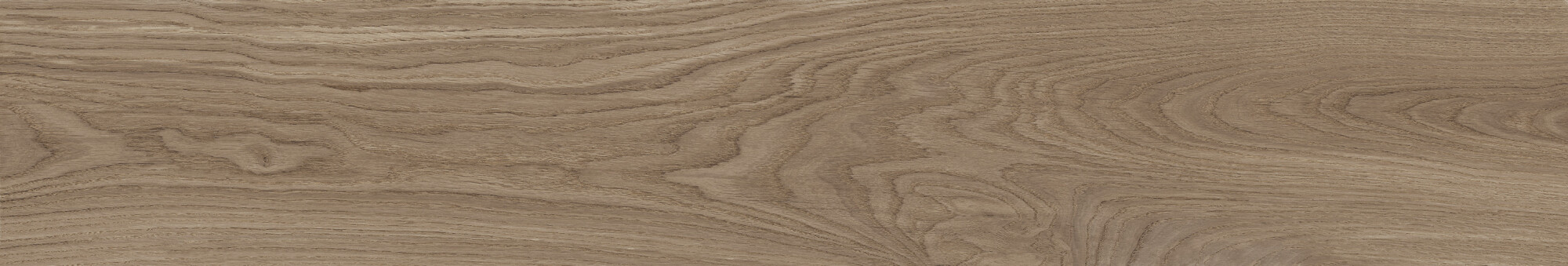 41729 Bloom Cognac SP/24x151x0,9/R 24x151 Peronda
