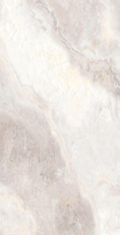 Onyx Clanton Rex pol. 60x120 Saans фото 4