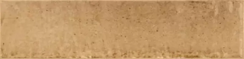 R8FP Look Beige Glossy 24x6 Ragno Marazzi