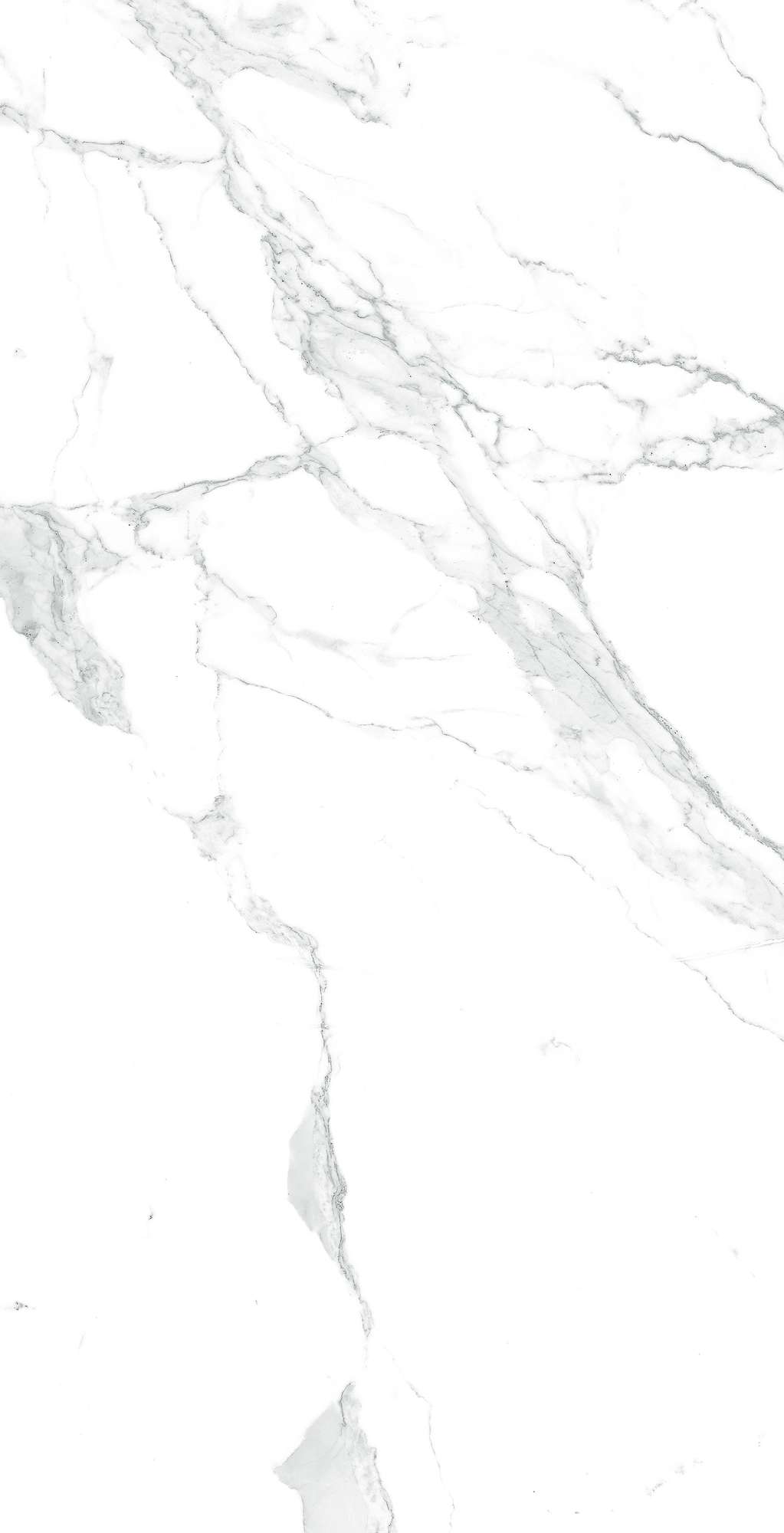 GI8005-A Paradise Statuario Matt Glossy Ink 60x120 Arcadia Ceramica