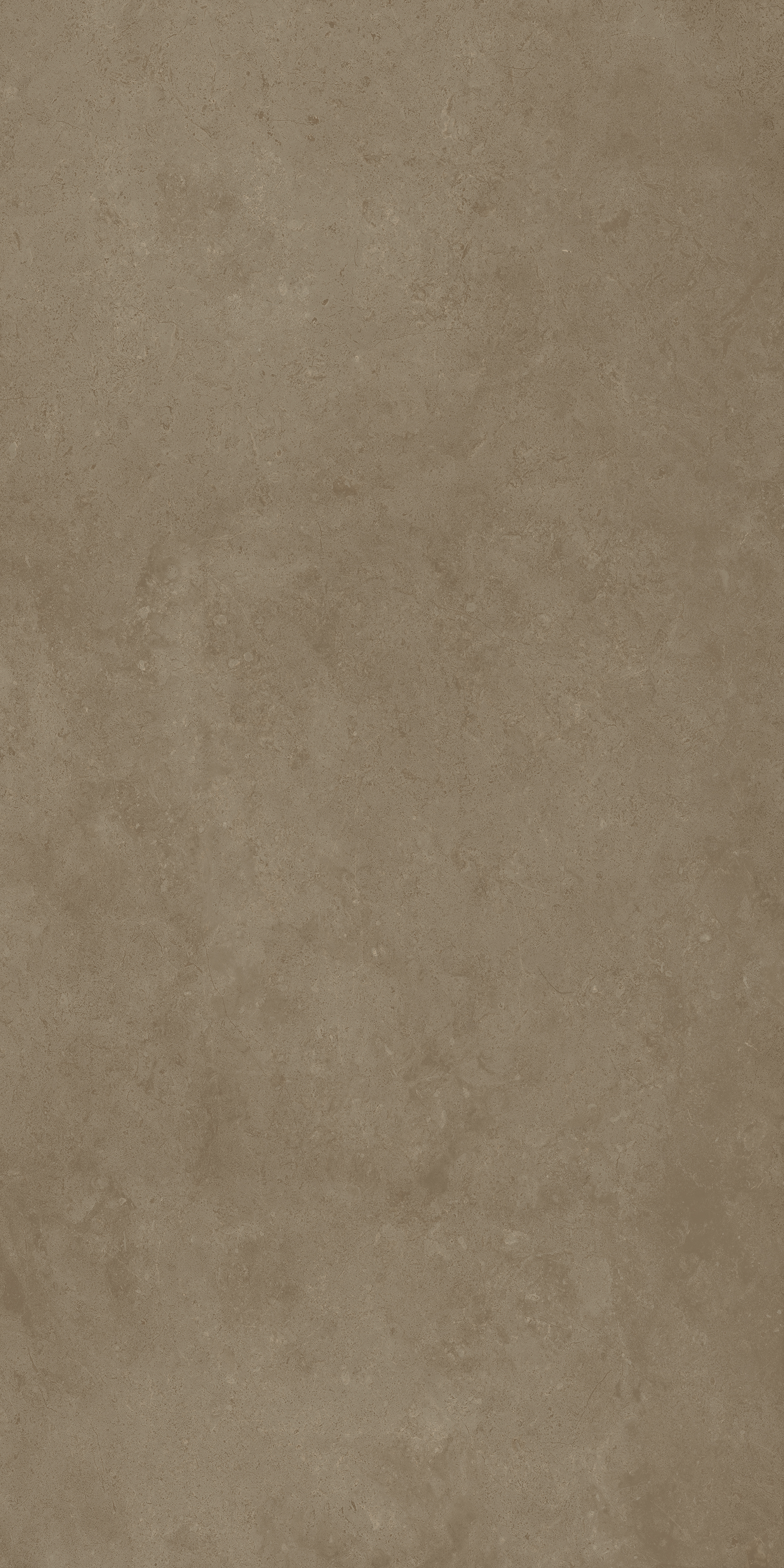 610010004100 Fossil Desert Nat Ret 60x120 Italon фото 3