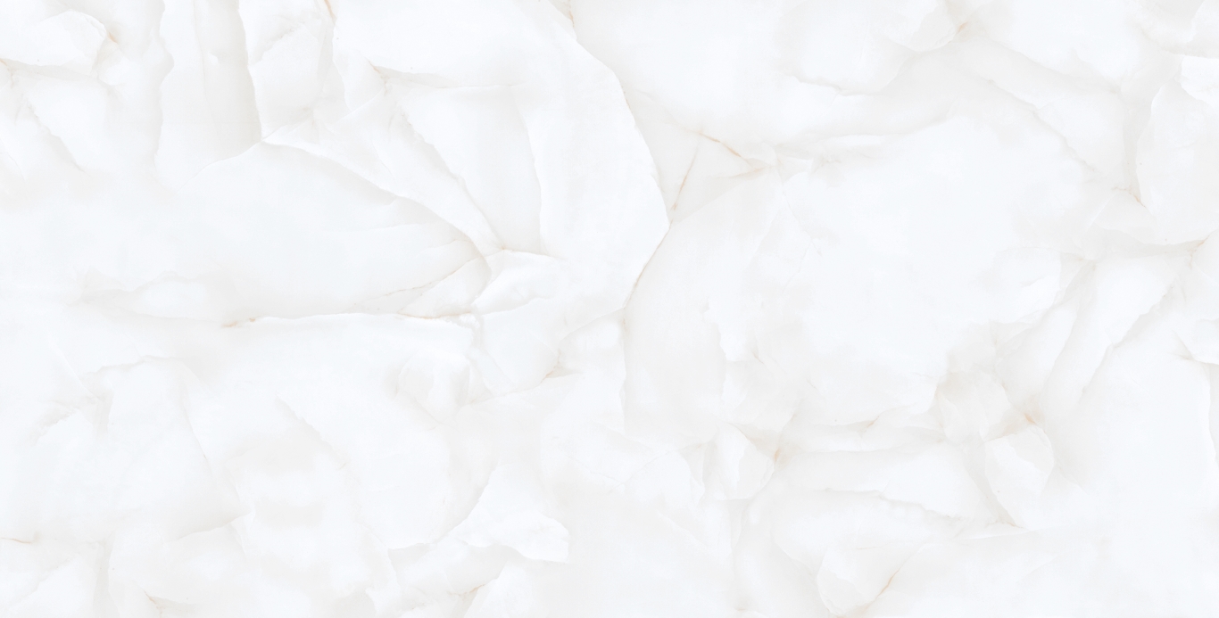 Brais White Carving 60x120 Realistik