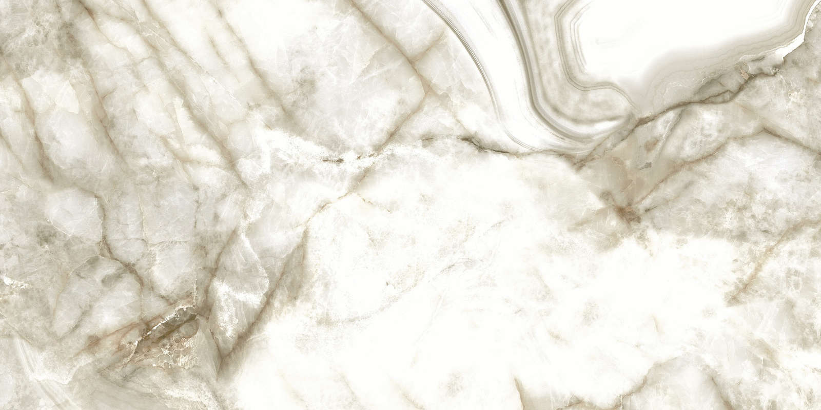CR228 Marbillo Rose Carving 60x120 PrimaVera