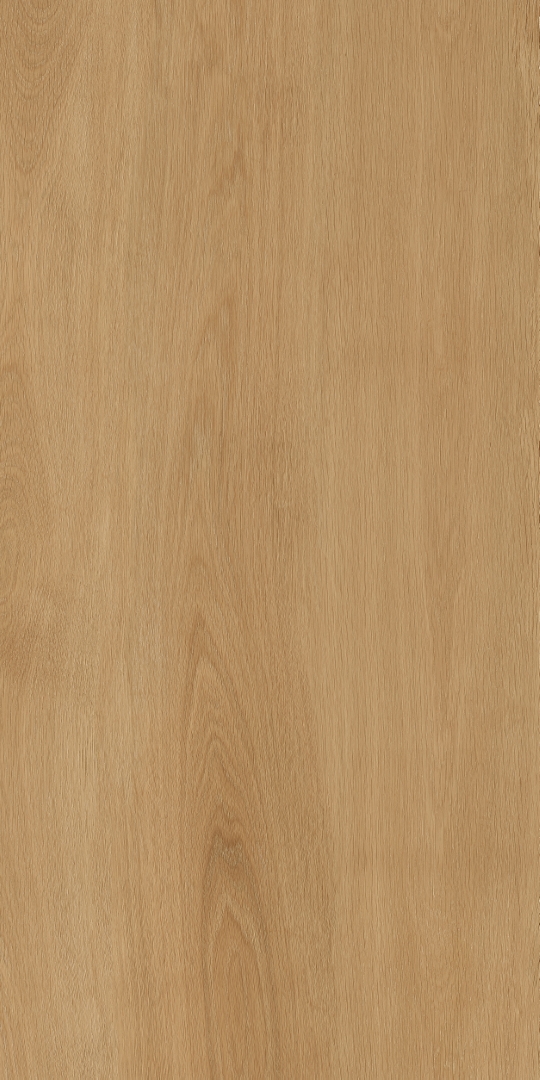 PT12F7041 Albero Beige Matt 1200х600х9 Protiles