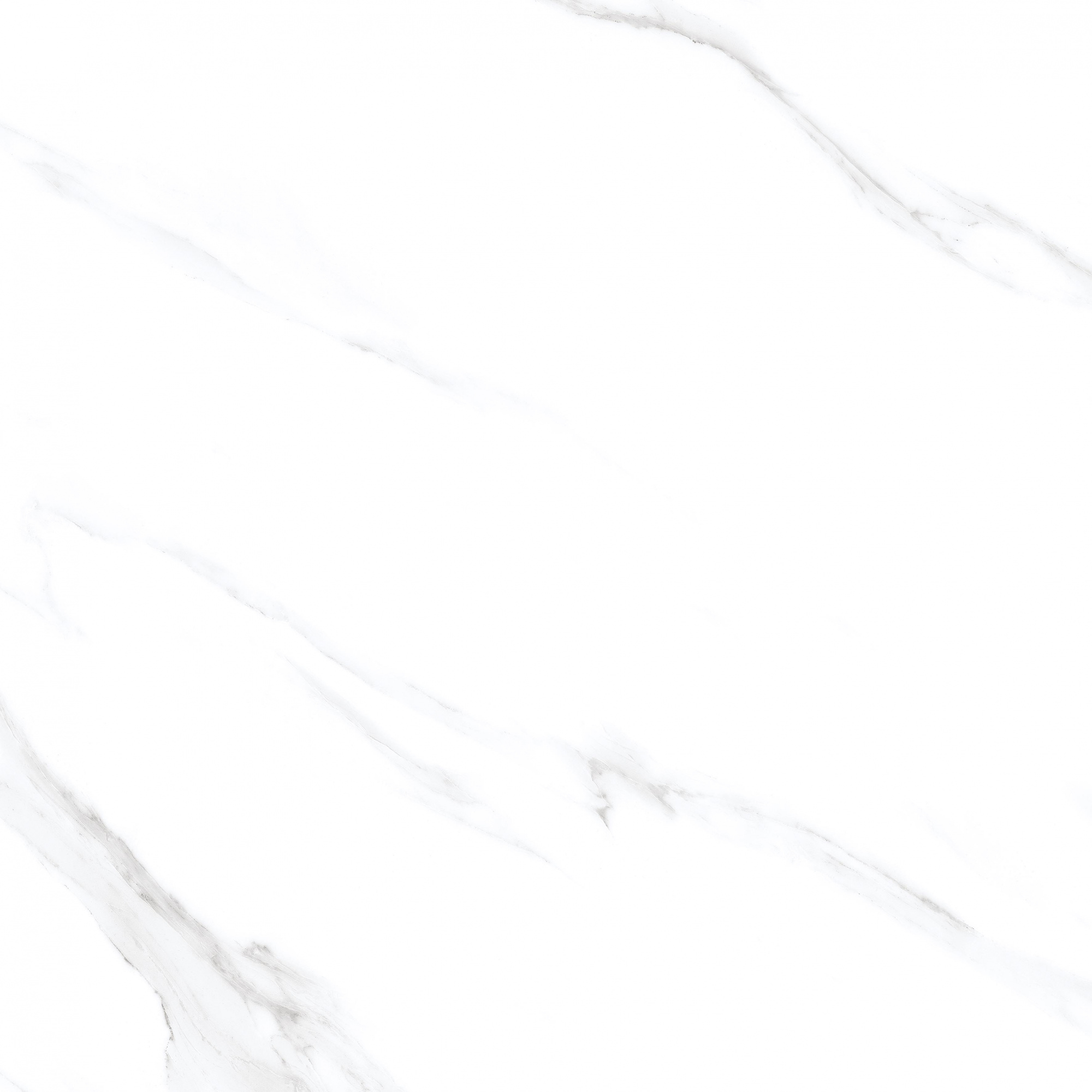 Statuario Venezia Glossy 60x60 Modern Tile