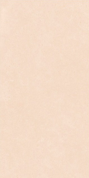 Selina Crema matt 60x120 Leopard фото 4