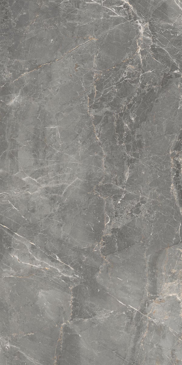 83346 Sybil Silver Levigato 60x120 Cerdomus