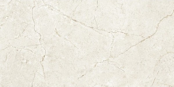 GRS02-19 Petra Magnezia 120x60 Gresse