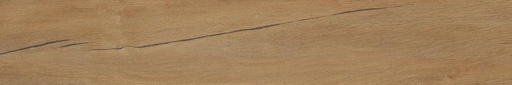 Leccio Oliato Ret 20x120 Serenissima Cir