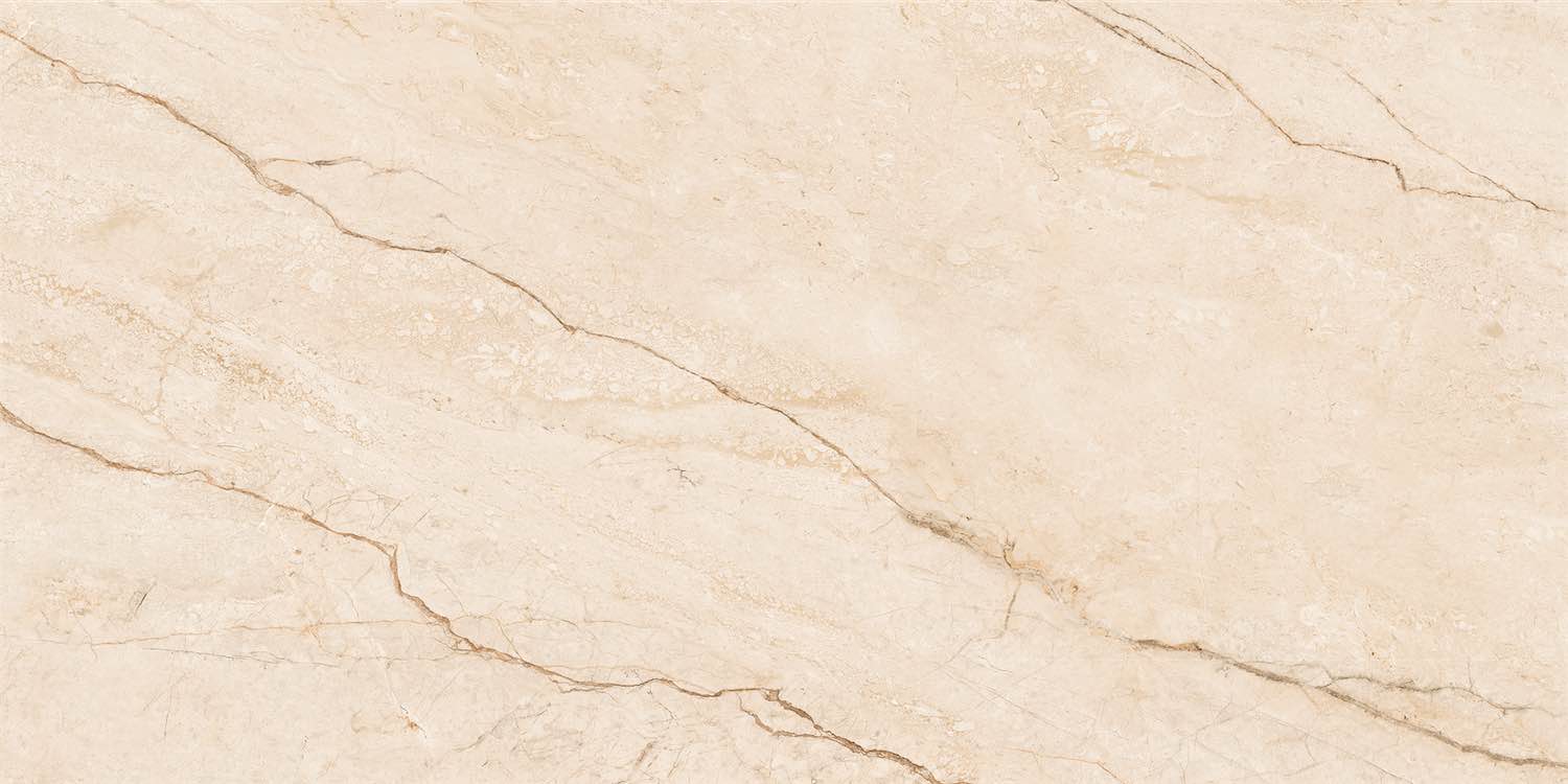 NTTHS99956D Barcelona Beige 60x120 NT Ceramic фото 8
