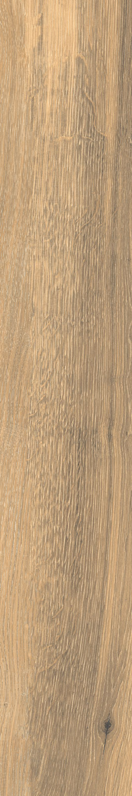 J89649 Timeless Honey Rett 20x120 RHS (Rondine) Ceramiche