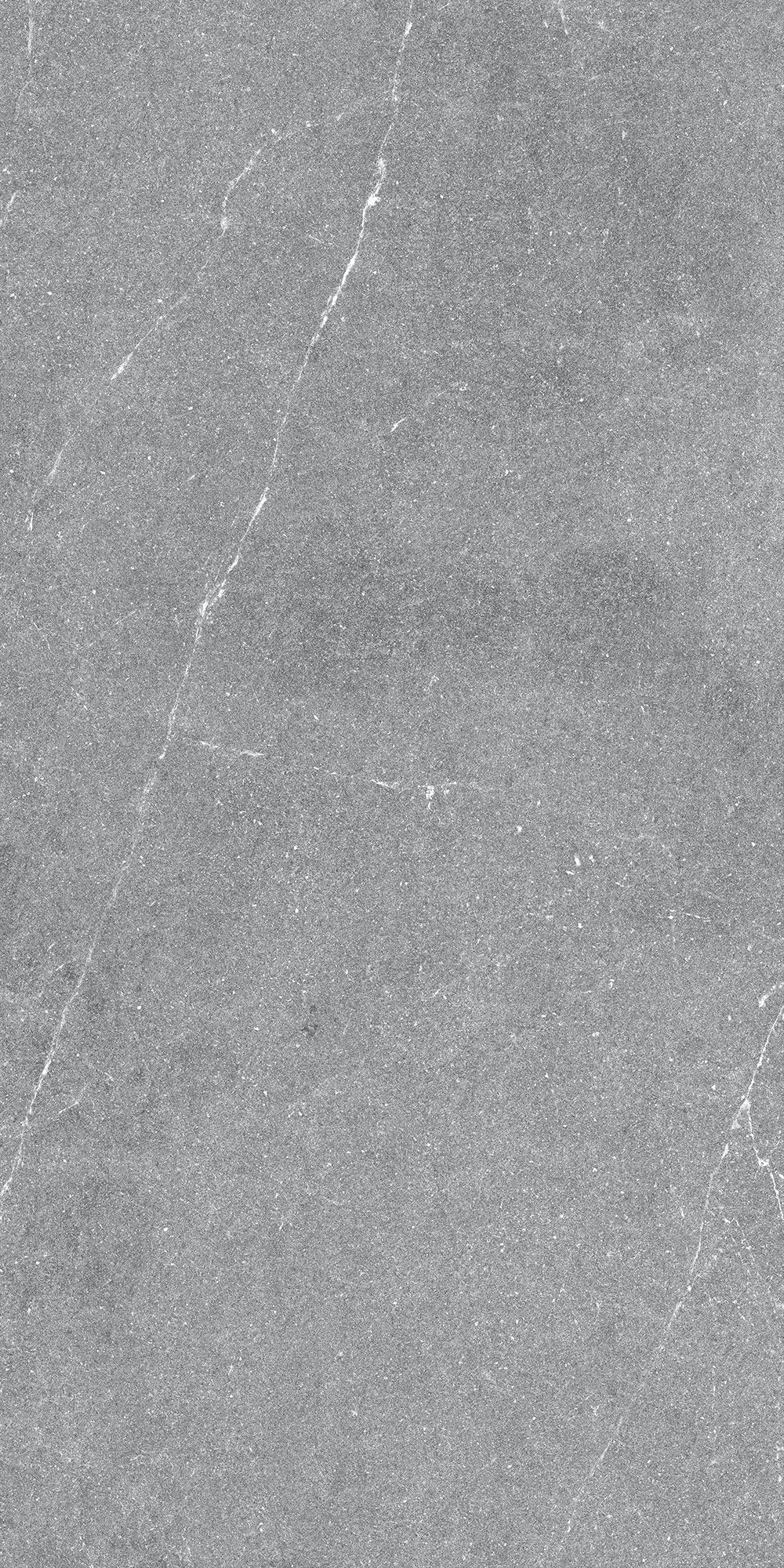 GT1206015401MR Geo Серый 60x120 Global Tile