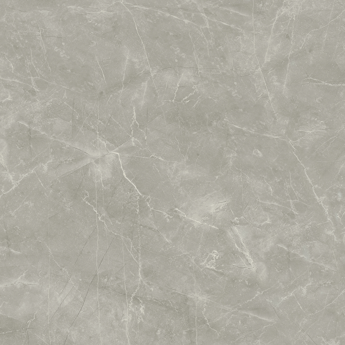 Wolf Grey 80х80 Laparet
