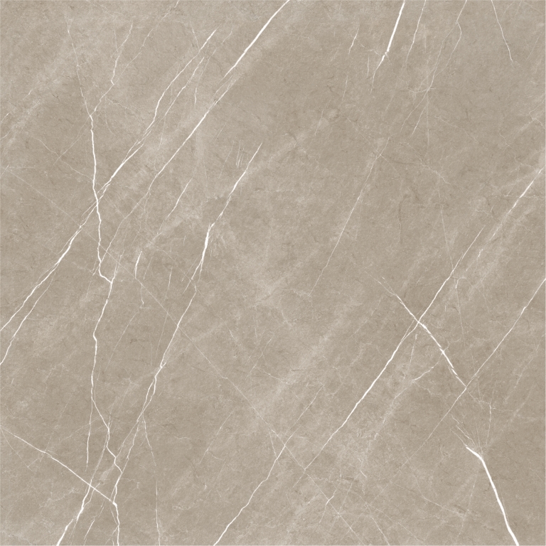 Eternal Taupe Natural 120x120 Baldocer