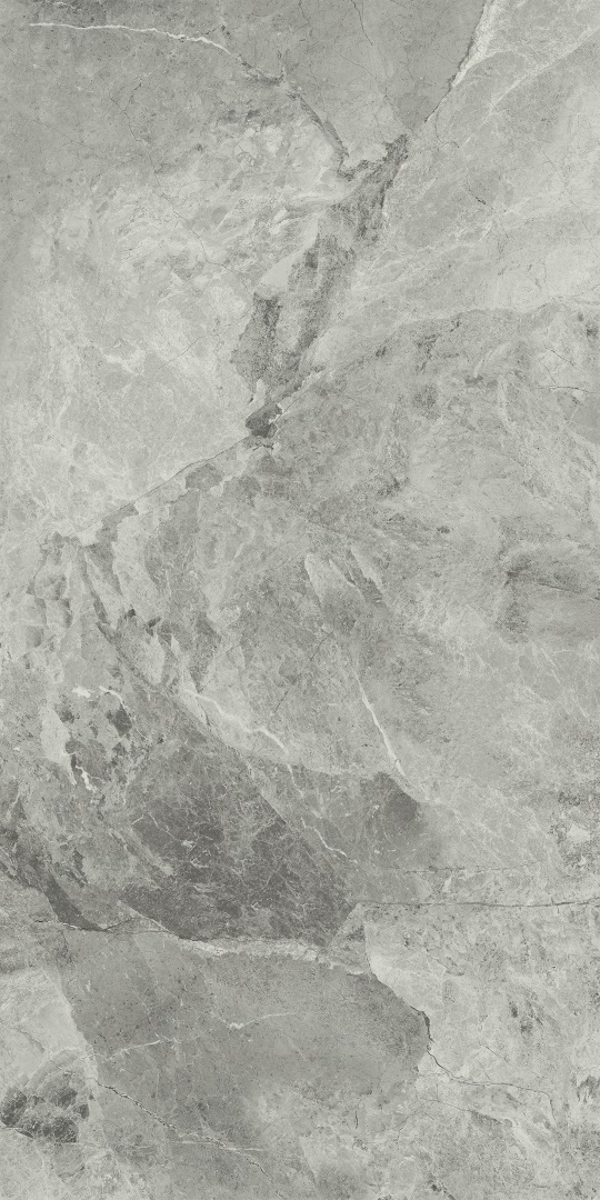 610010001689 Charme Extra Silver Nat Ret 80x160 Italon