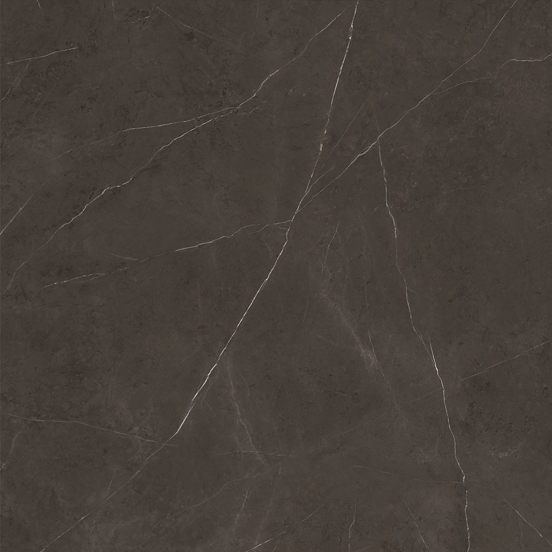 C221101561 Xlight Premium 120x120 Liem Dark Polished (6 мм) Urbatek