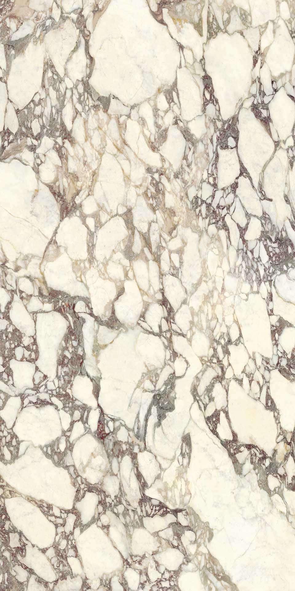 L315551MF6 Breccia Medicea Lucido 150x300 IRIS FMG