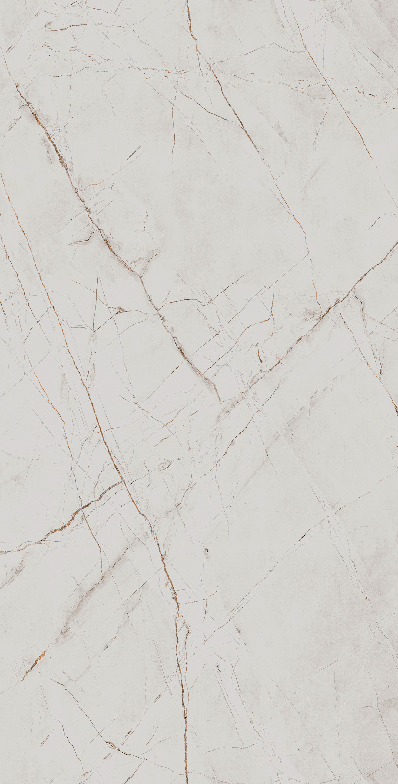 CR4027-A Valencia Silver Grey Carving 60x120 Arcadia Ceramica фото 3