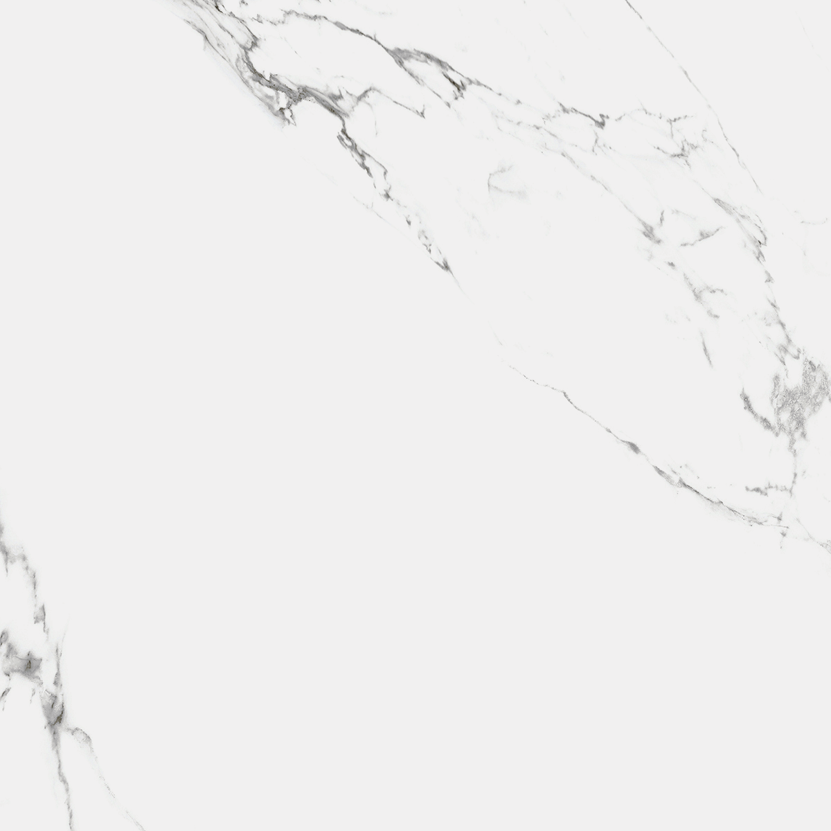R_PR1004 Carrara Marmo Polished 60x60 Royce
