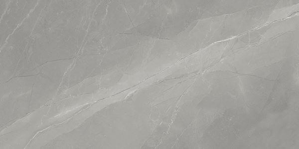 Myas Grey 60x120 Gravita