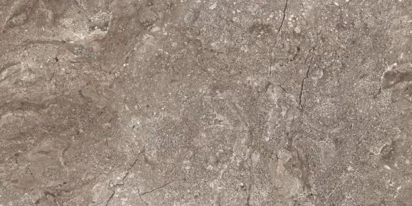 6405 Stone Grey Polished 60x120 Leopard