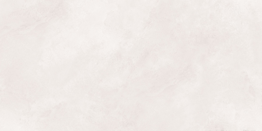 N20479 Newport White Matt 60x120 Neodom