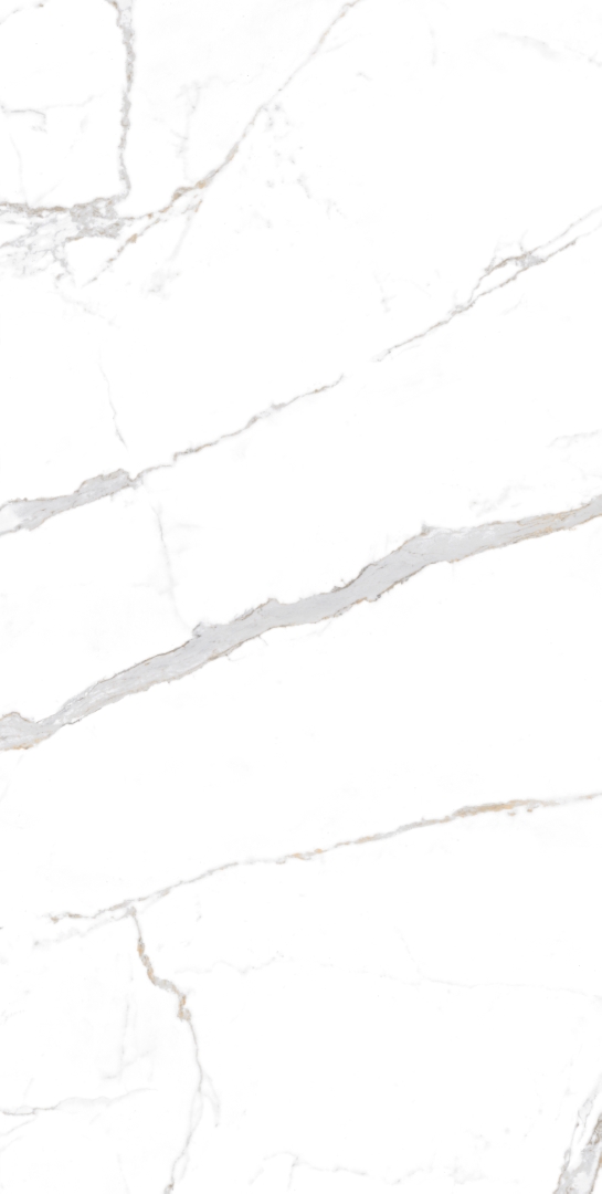 Statuario Brown Glossy 60x120 Modern Tile