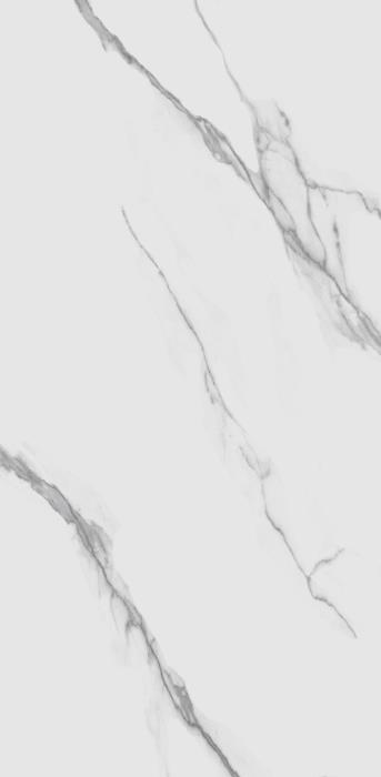 TP612M001 Авиталь матовый 60x120 PrimaVera фото 2