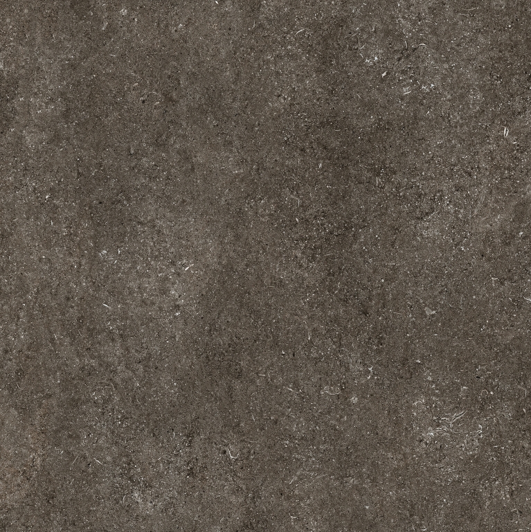 768560 Sensi Brown Fossil Nat Ret 6mm 120x120 Casa Dolce Casa